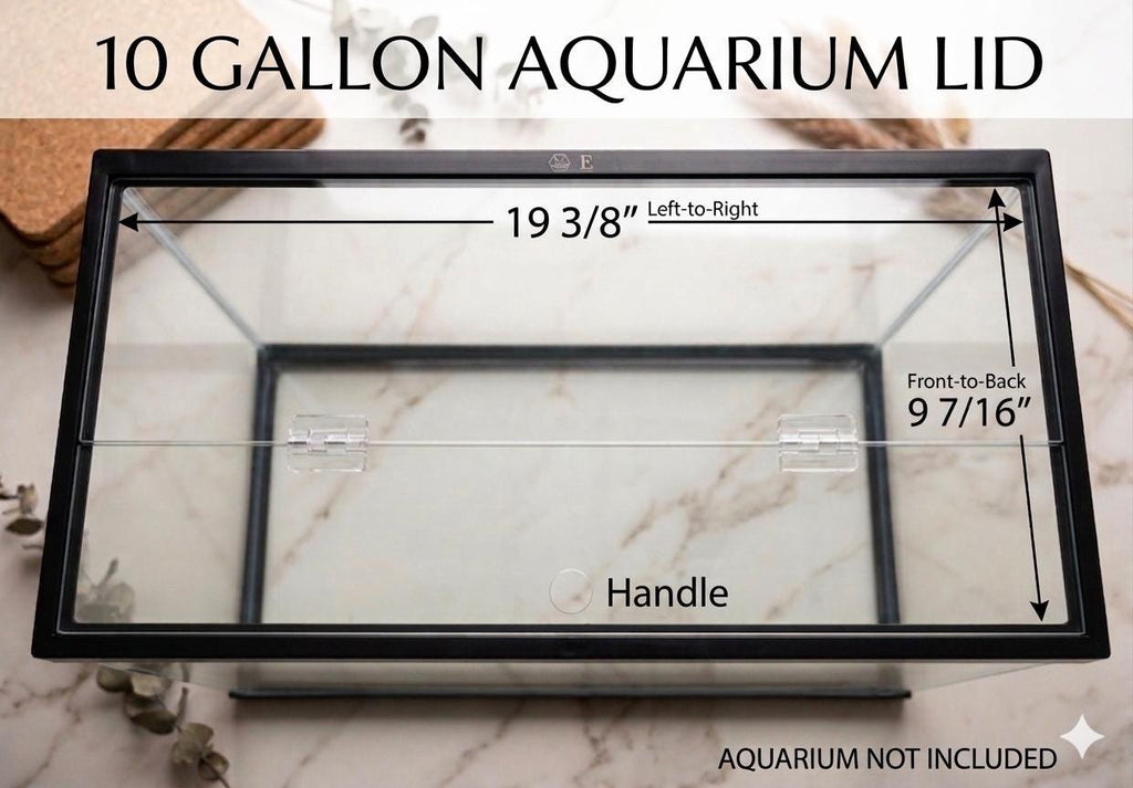 Aquarium Lid 10 gallon High Clear 3/16” Polycarbonate