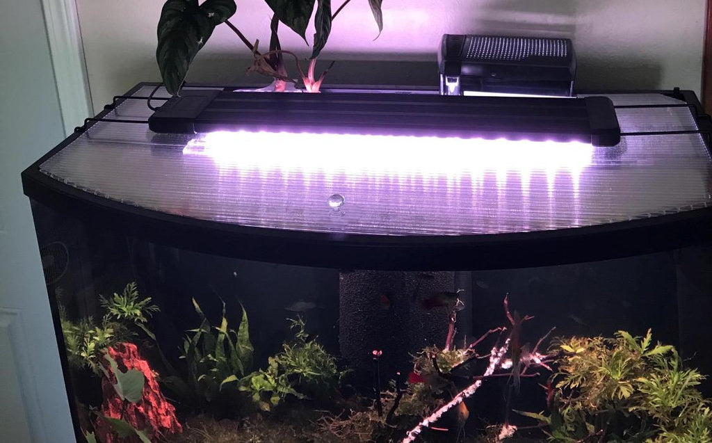 Aquarium Lid 36 gallon Bowfront - 1/4” twin-wall polycarbonate, Aqueon, Top Fin, Marineland