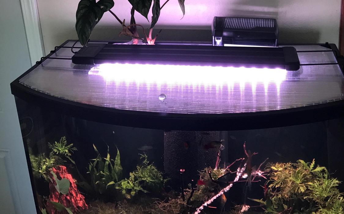 Aquarium Lid 36 gallon Bowfront - 1/4” twin-wall polycarbonate, Aqueon, Top Fin, Marineland