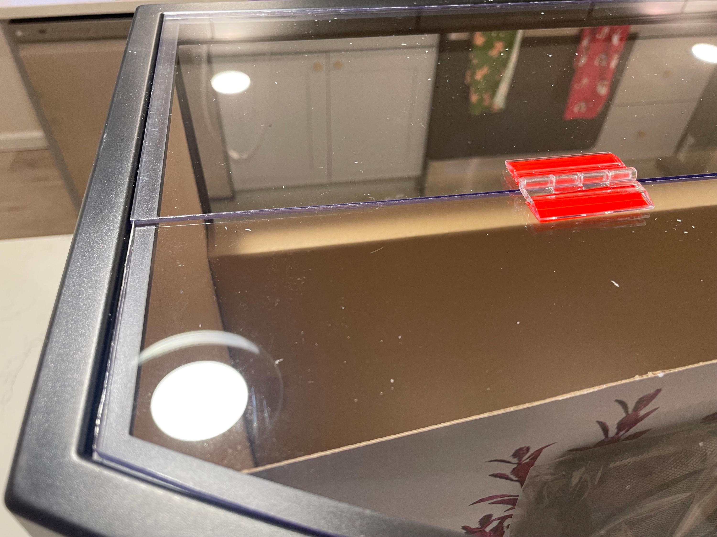 Aquarium Lid 36 gallon Bowfront - 3/16” clear polycarbonate, fits Aqueon, Top Fin, Marineland