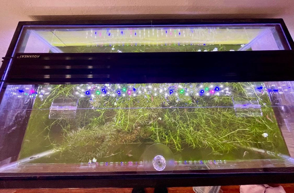 Aquarium Lid 10 gallon High Clear 3/16” Polycarbonate