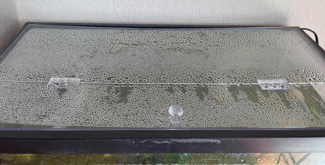 Aquarium Lid 10 gallon High Clear 3/16” Polycarbonate